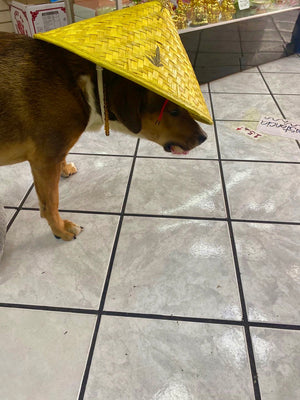 Sombrero arrocero
