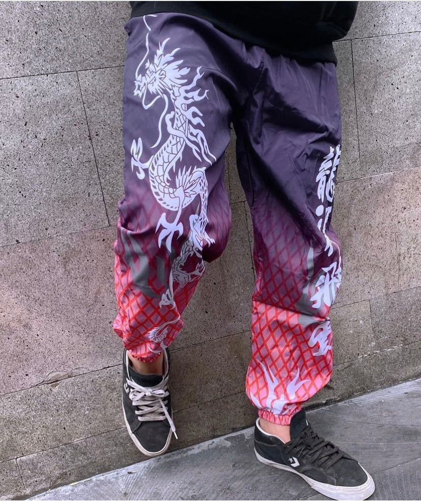 Pantalones de dragón